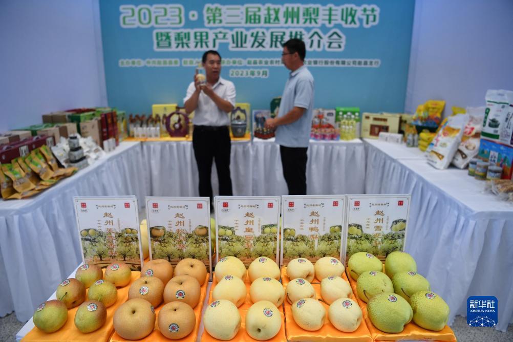 梭哈游戏哪里有